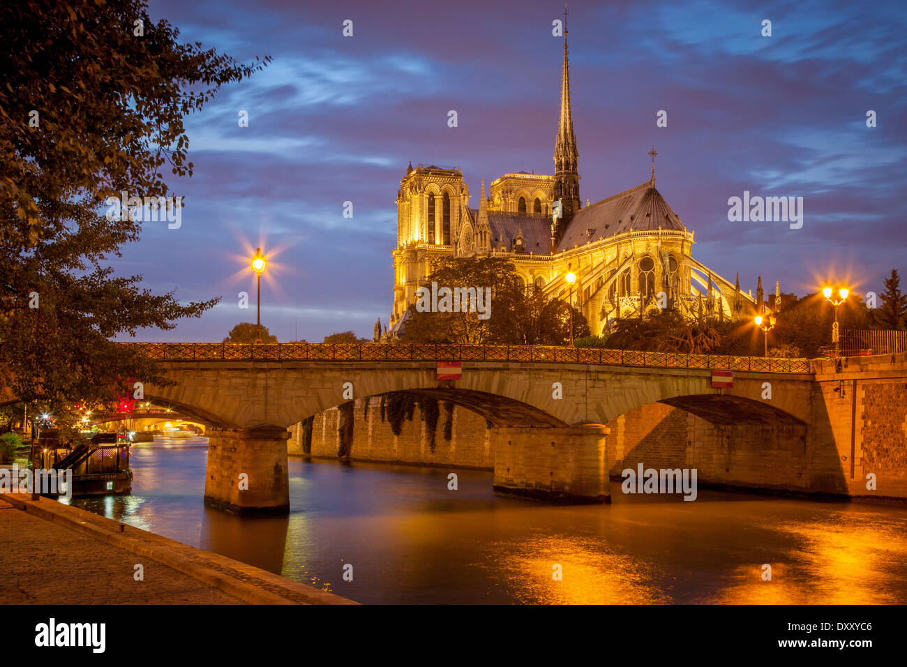 Twilight sulla Cattedrale di Notre Dame lungo il Fiume Senna, Parigi, Ile-de-France, Francia Foto Stock