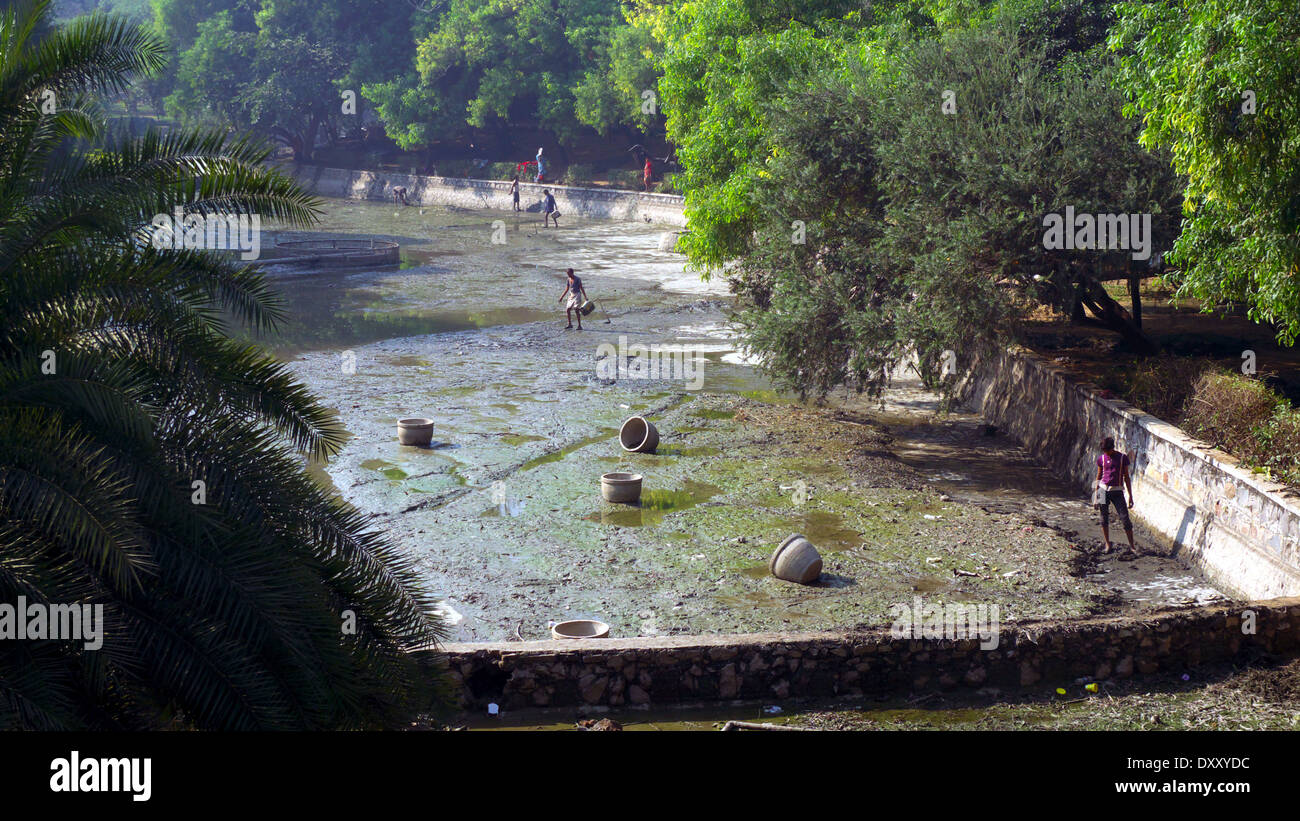 Pulizia del lago ornamentale, Lodi Gardens, New Delhi, India il giorno di Natale. Foto Stock