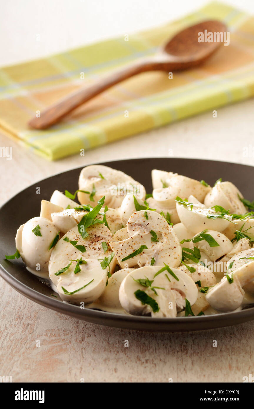 Crudo fresco funghi prataioli con la panna e le erbe aromatiche Foto Stock