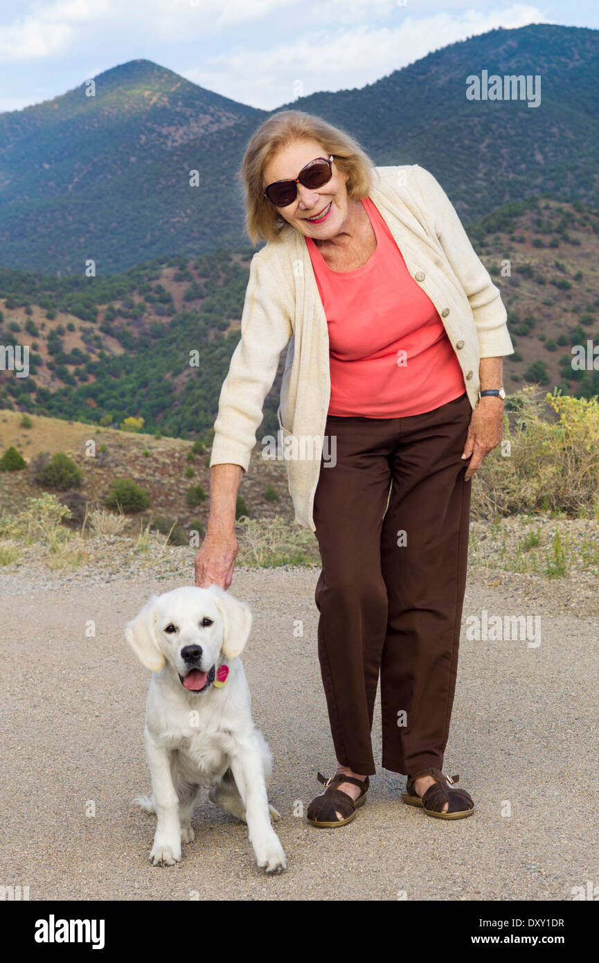 Una pausa per una fotografia con un sei mesi di color beige Golden Retriever cane sulla montagna Tenderfoot, Salida, Colorado, STATI UNITI D'AMERICA Foto Stock