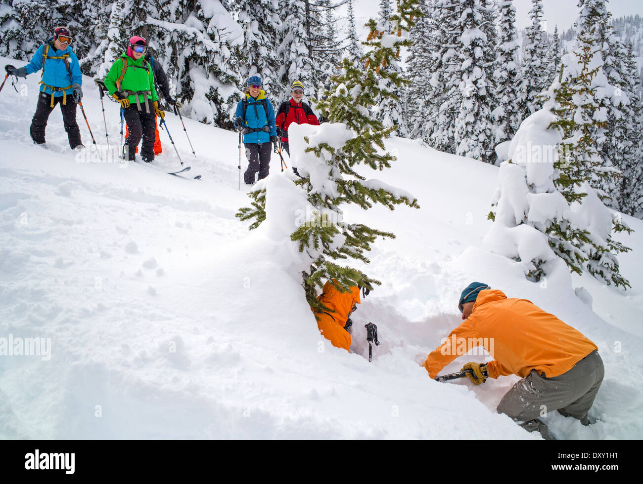 Professional back country ski guide di montagna a dimostrazione di una tecnica di salvataggio per sciatore intrappolati nella neve albero ben Foto Stock