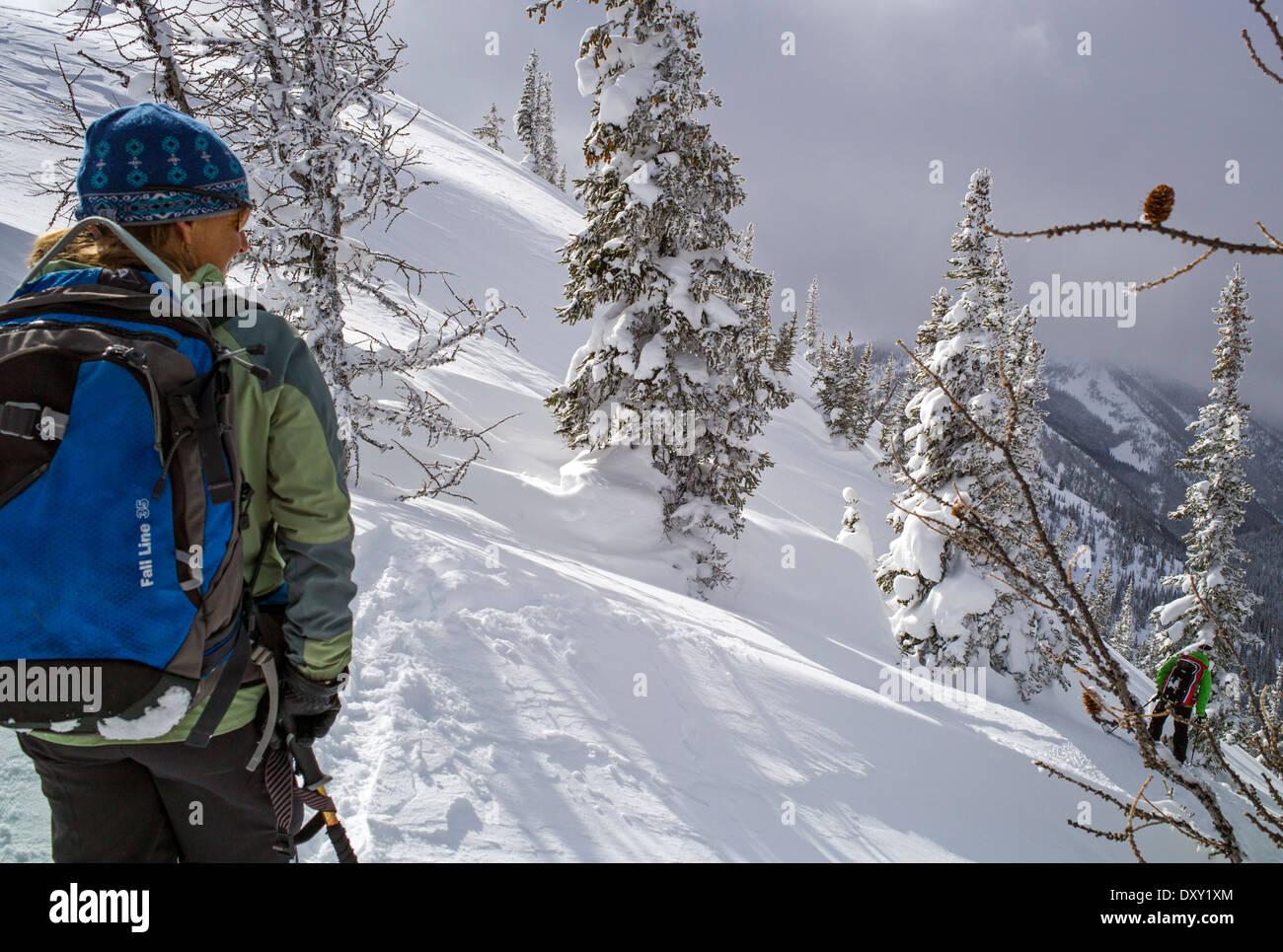 Paese indietro gli sciatori utilizzano pelli sintetiche sugli sci per agevolare la salita, North Cascade Mountains, Washington, Stati Uniti d'America Foto Stock