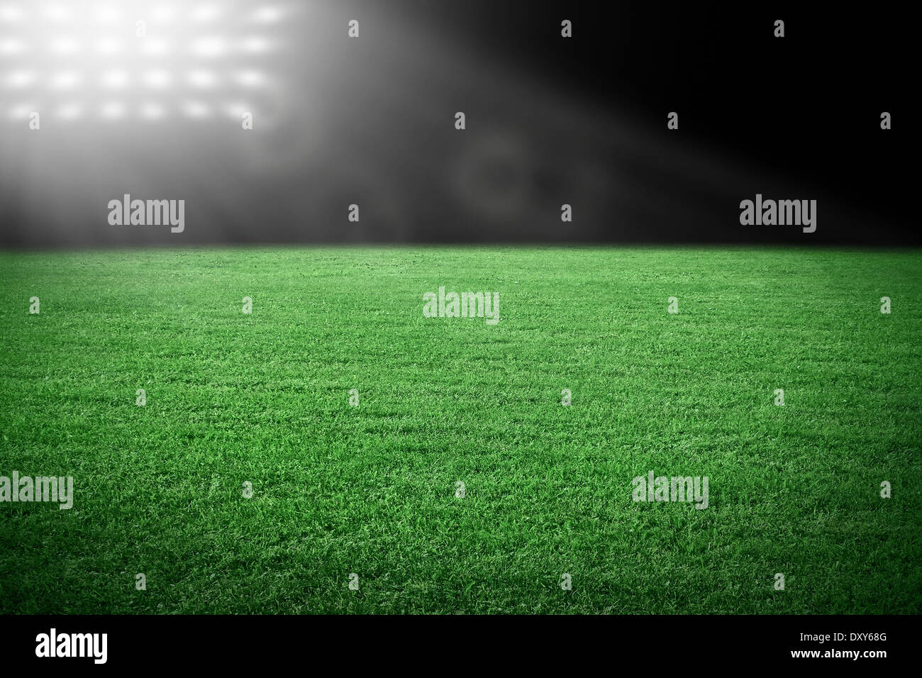 Lo stadio sportivo in spotlight con erba verde campo Foto Stock