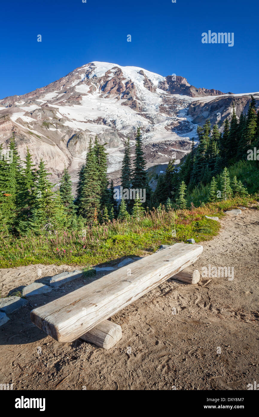 Banco rustico lungo un sentiero presso il Parco Nazionale del Monte Rainier, Washington Foto Stock