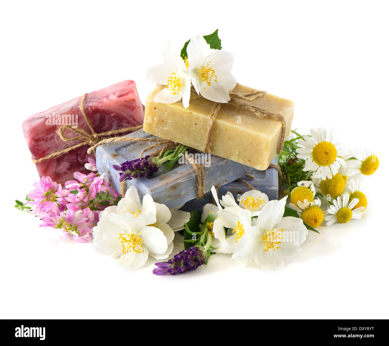 Saponette con fresco lavanda, gelsomino, trifoglio e i fiori di camomilla Foto Stock