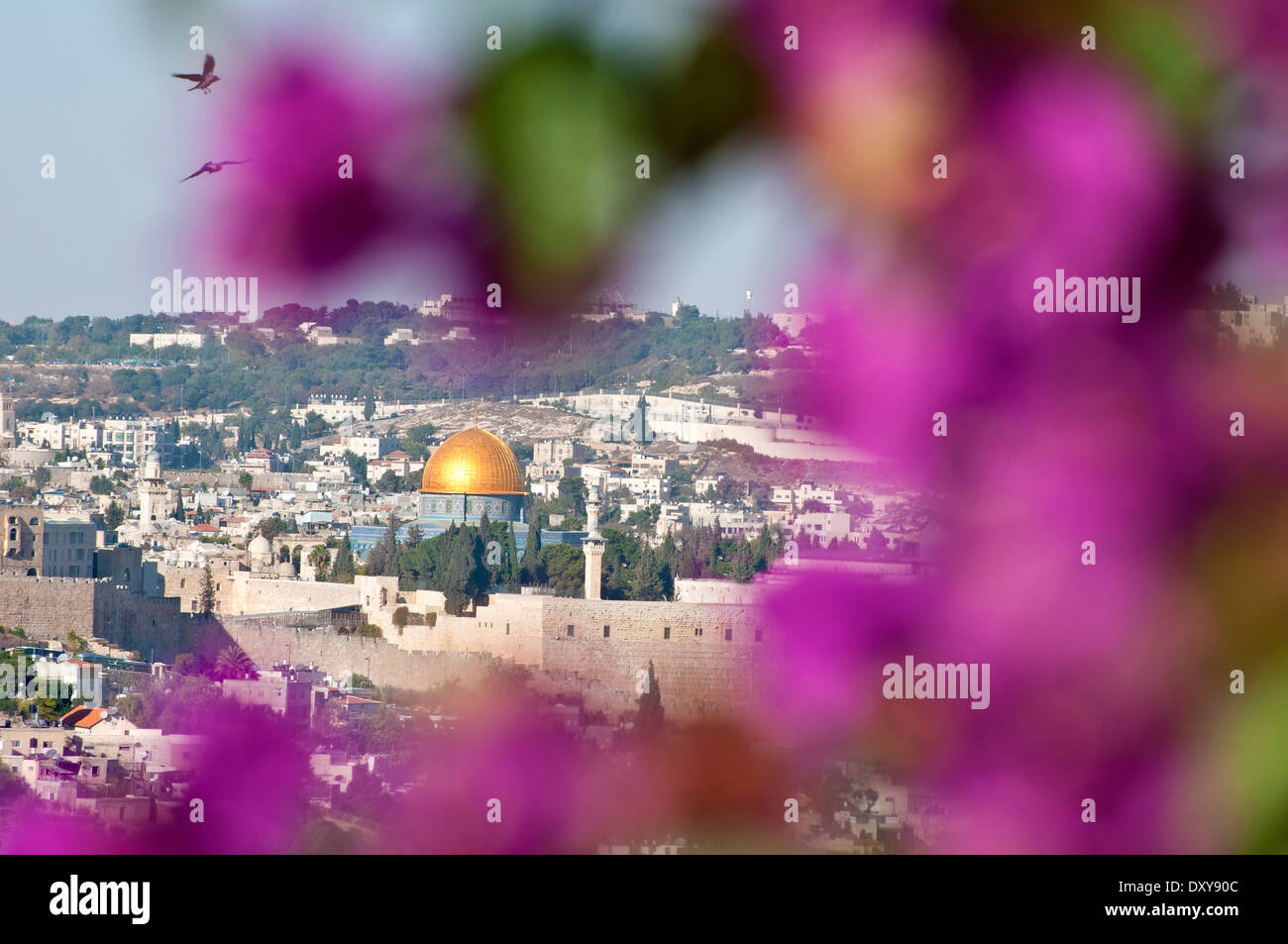 La città vecchia di Gerusalemme, Israele Foto Stock