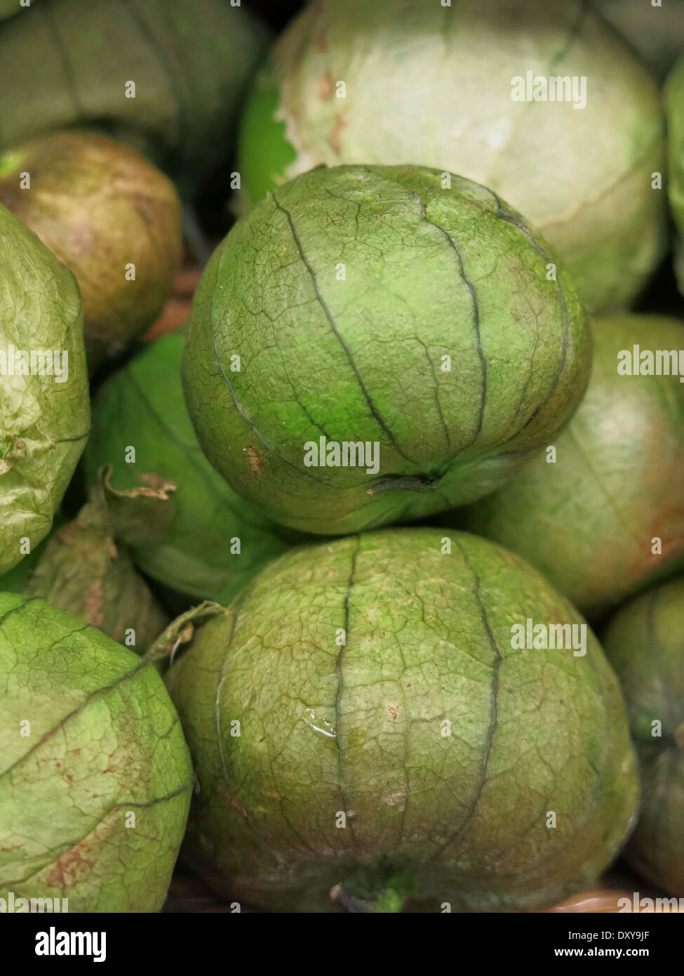 Tomatillos freschi Foto Stock