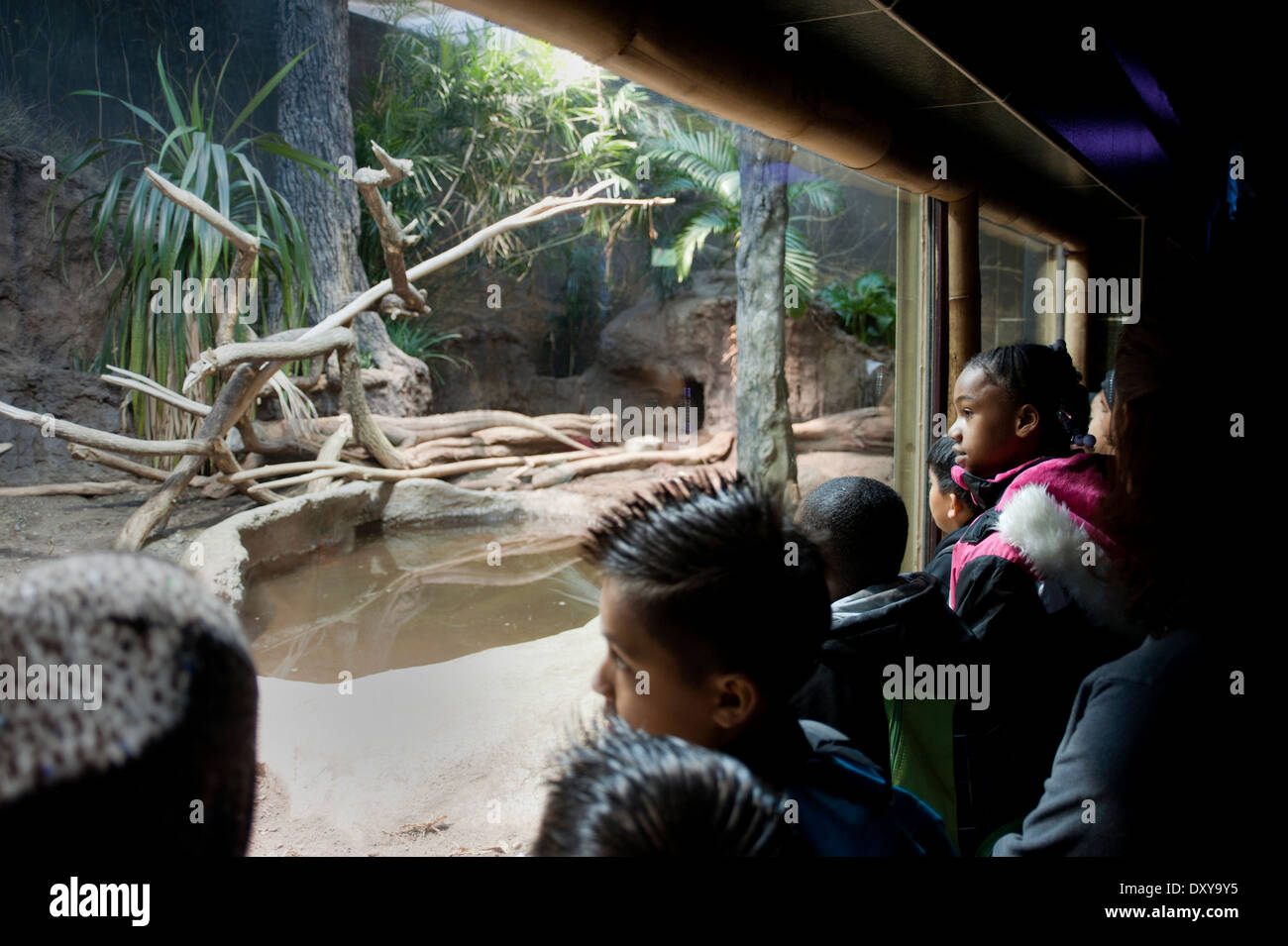 Un gruppo di studenti elementari che frequentano una scuola gita allo zoo. Foto Stock