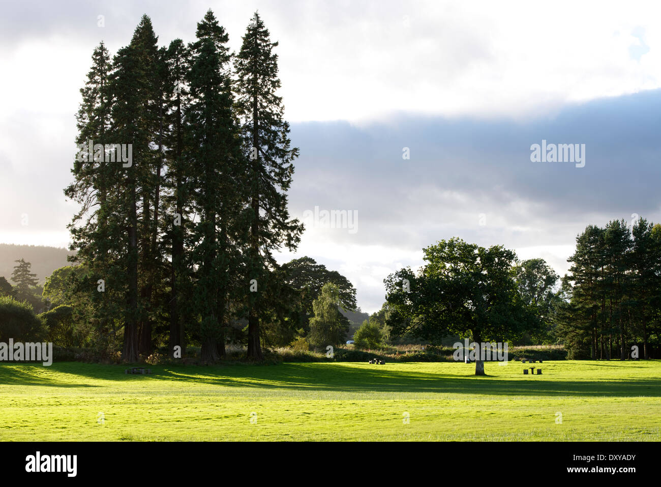 Parco e terreno per picnic, anatra Bay, Loch Lomond. Foto Stock