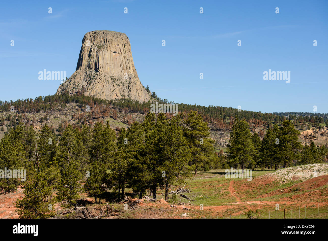 Devil's Tower monumento nazionale. Foto Stock