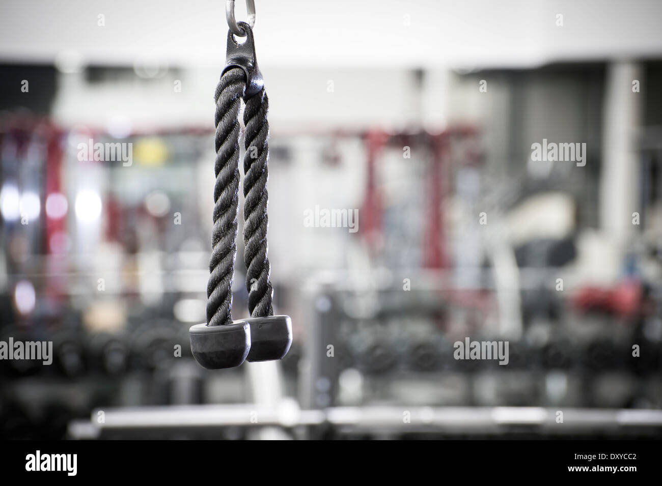Tricipiti corda in palestra, centro Fitness Foto Stock