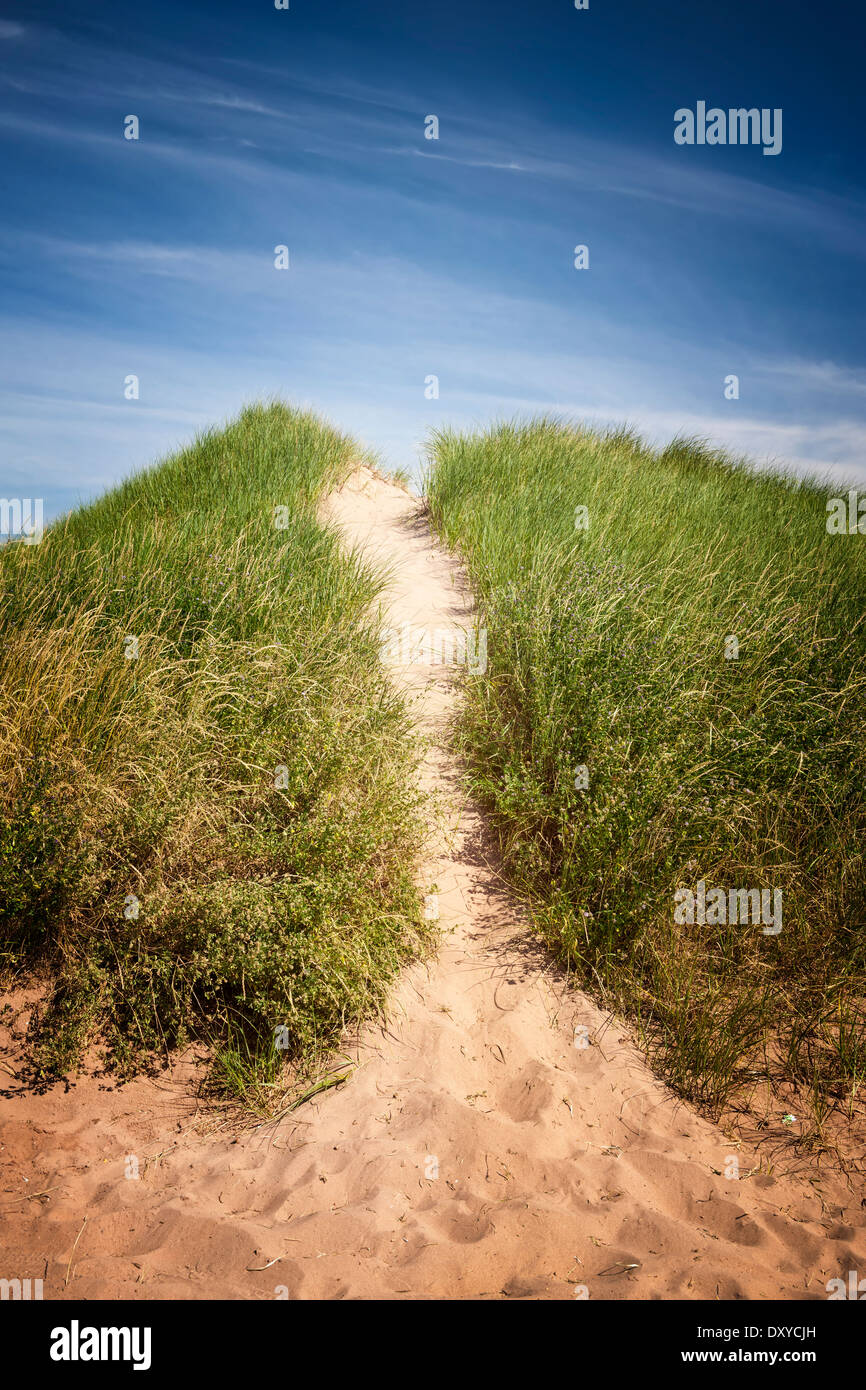 Sentiero di sabbia oltre le dune Spiaggia con erba nel nord Rustico, Prince Edward Island, Canada. Foto Stock