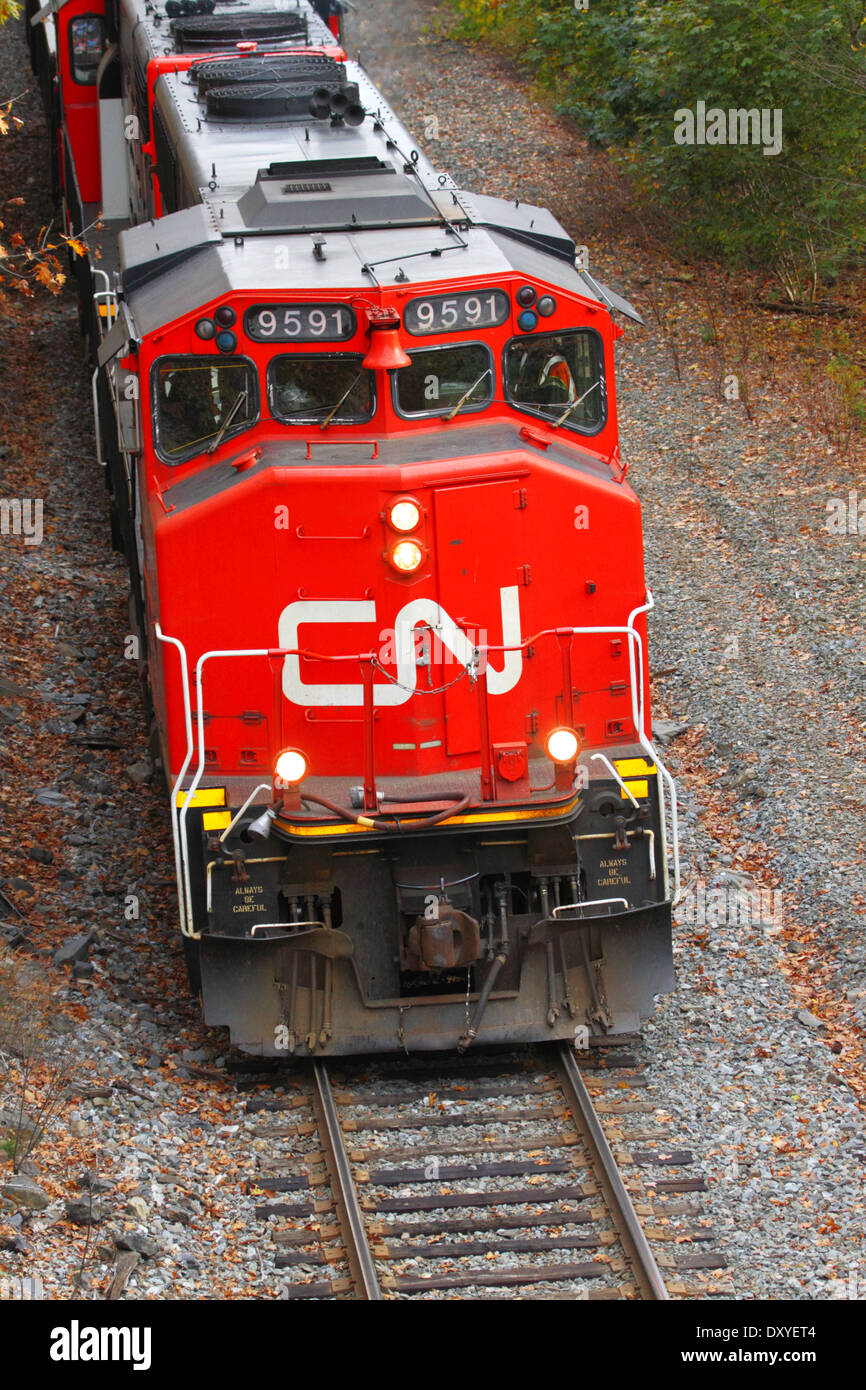 Un trenino rosso del Canadian National Railway Company visto dal di sopra come si passa da a Halifax, Canada. Foto Stock