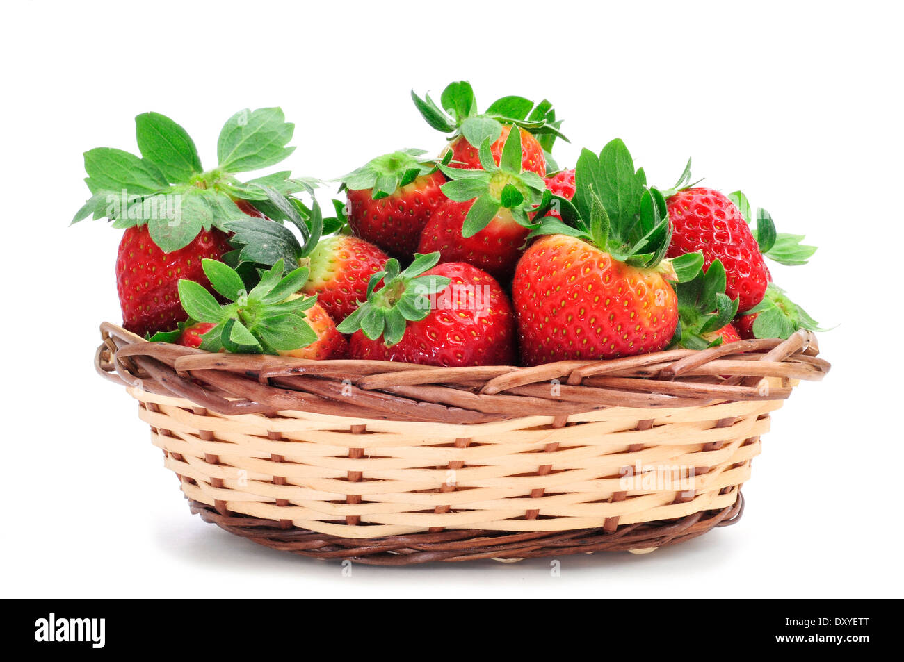 Cestino della frutta Cesto di frutta e ciotola for a 2 livelli
