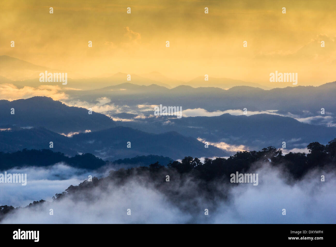 Montagna paesaggio con la nebbia nella stagione invernale oro sfondo luminoso Foto Stock