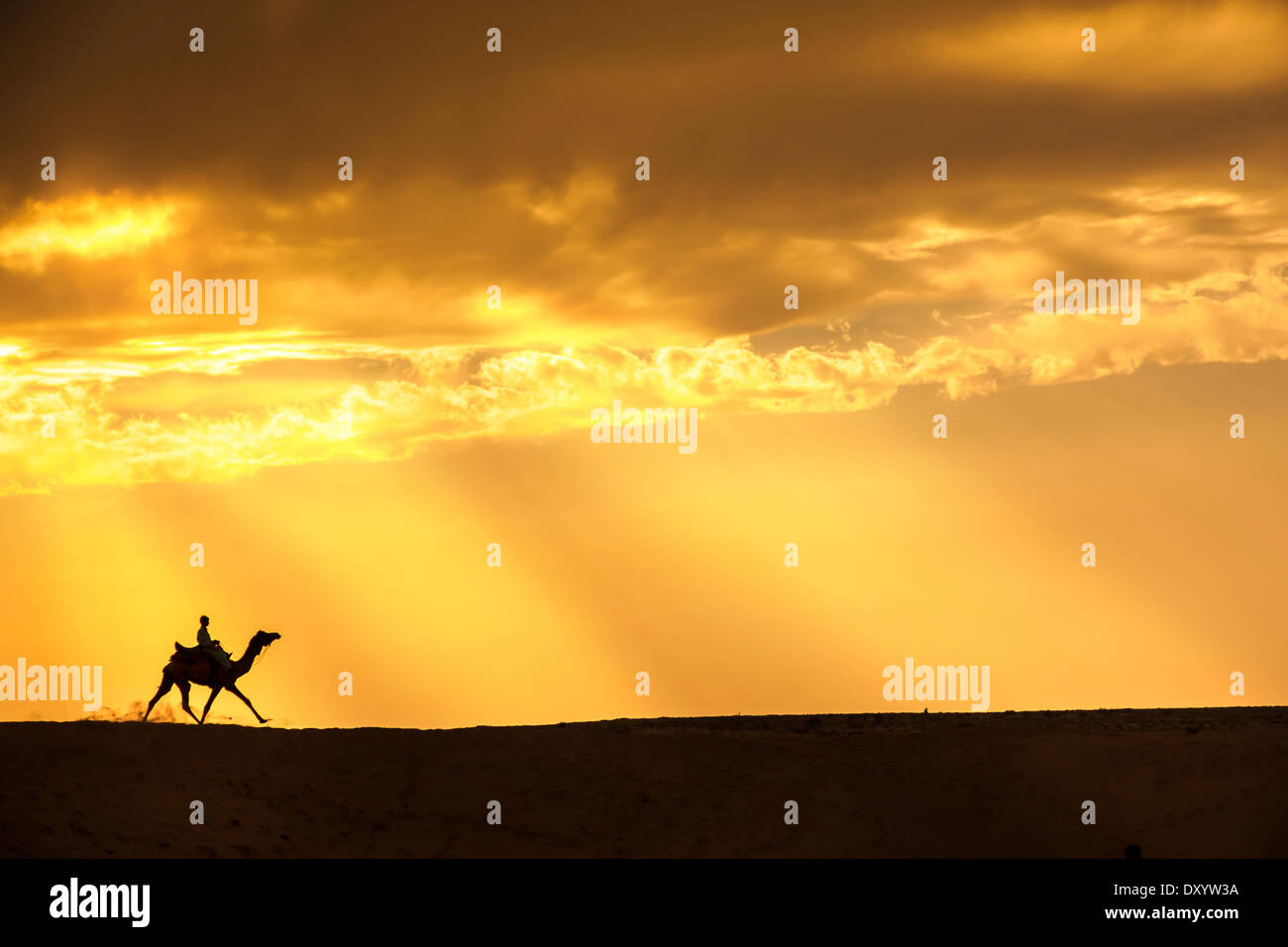 Silhouette uomo ride corsa di cammello sulle dune di sabbia drammatica sun ray Foto Stock