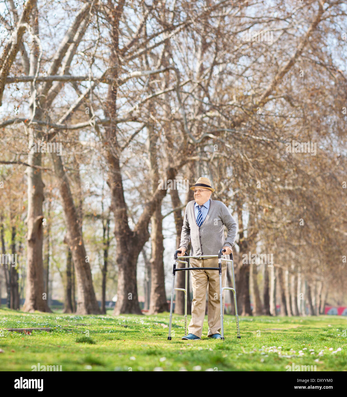 Senior uomo a camminare con walker in posizione di parcheggio Foto Stock