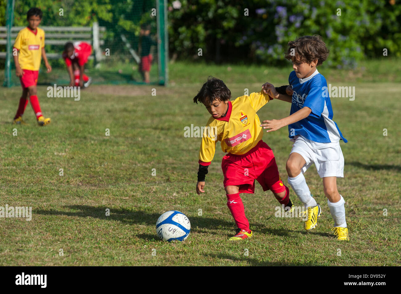 I giocatori di calcio della U9 squadre giovanili affrontare per vincere la sfera, Cape Town, Sud Africa Foto Stock