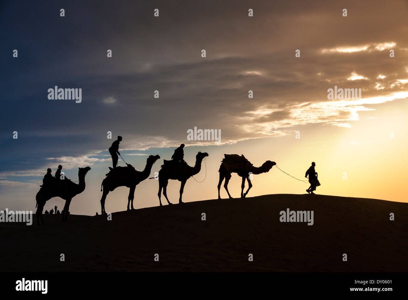 Deserto passeggiate locali portano naso cammello attraverso il deserto di Thar India drammatico sfondo alla luce solare Foto Stock