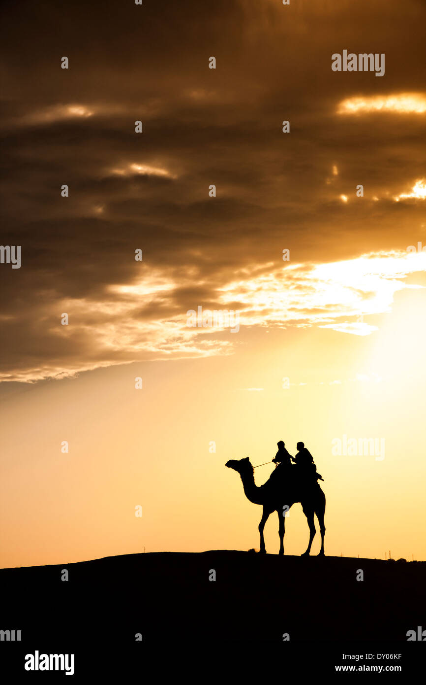 Un deserto passeggiate locali portano naso cammello attraverso il deserto di Thar India drammatico sfondo alla luce solare Foto Stock