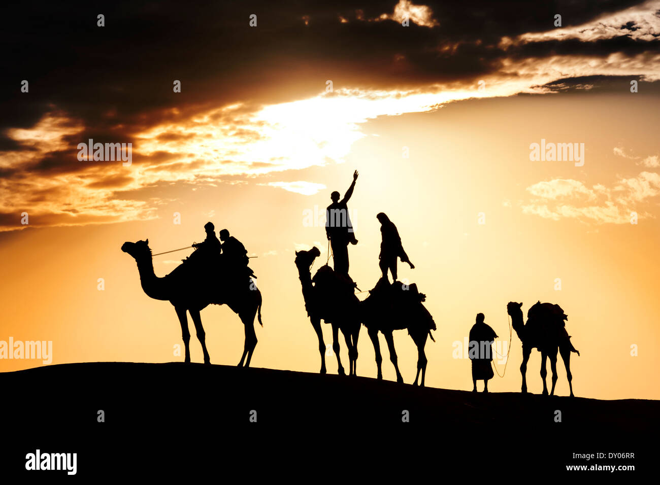 Deserto passeggiate locali portano naso cammello attraverso il deserto di Thar India drammatico sfondo alla luce solare Foto Stock