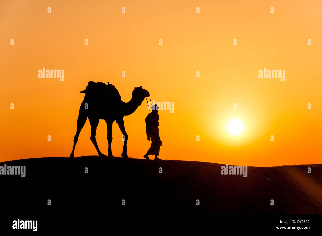 Un deserto passeggiate locali portano naso cammello attraverso il deserto di Thar India drammatico sfondo alla luce solare Foto Stock