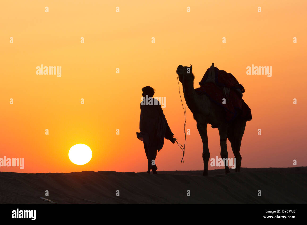 Un deserto passeggiate locali portano naso cammello attraverso il deserto di Thar drammatico sfondo di Sun Foto Stock