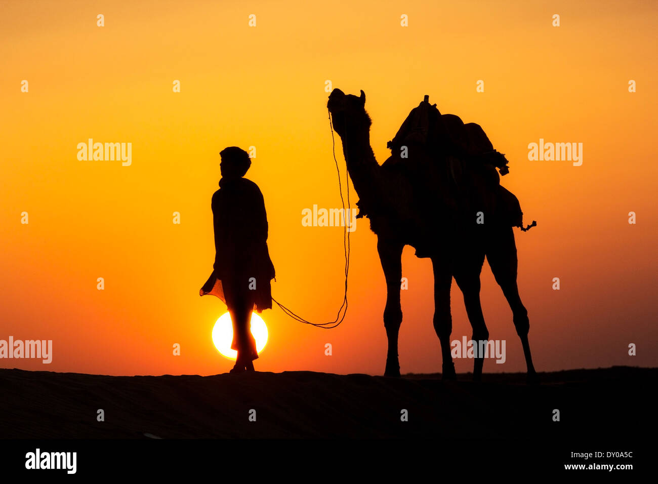 Un deserto passeggiate locali portano naso cammello attraverso il deserto di Thar drammatico sfondo di Sun Foto Stock