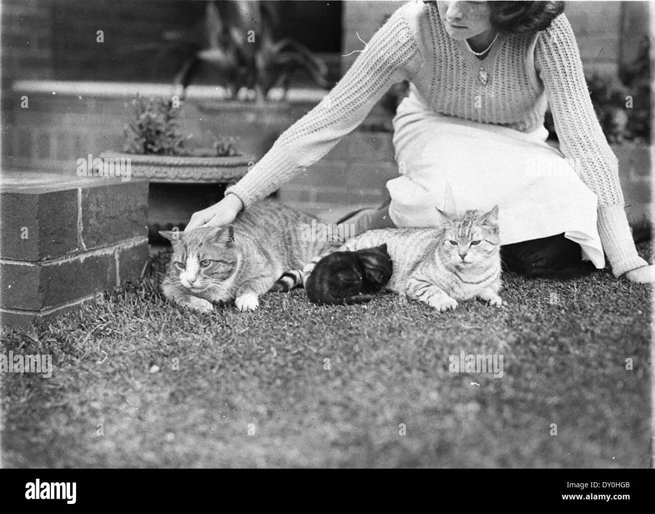 Questa foto degli anni '1930, scattata da Sam Hood, mostra una ragazza con due gatti e un gattino a Sydney. L'immagine mette in risalto un'affascinante scena della vita domestica e dei popolari animali domestici dell'epoca. Foto Stock