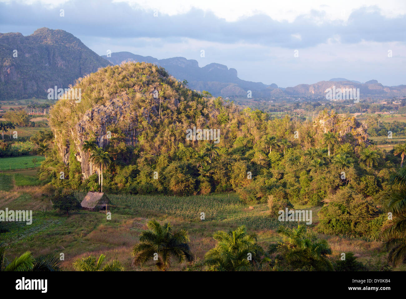 Mogote nella luce della sera Vinales Valley Cuba Foto Stock