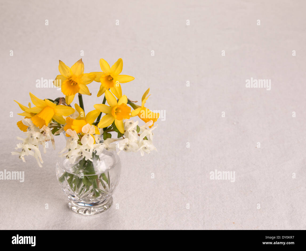 Un vaso di daffodils in miniatura e corydalis bianco nell'angolo in basso a sinistra del telaio( 4 di una serie di 4) Foto Stock