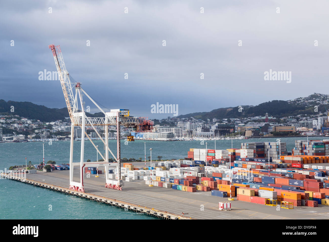 Wellington, Nuova Zelanda - Gru portuali e i contenitori di spedizione nel porto Foto Stock