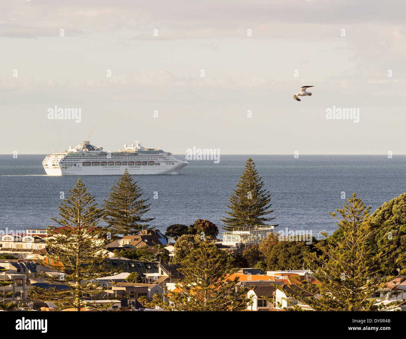 La nave di crociera lasciando la Baia di Planty a Tauranga, Nuova Zelanda al crepuscolo Foto Stock
