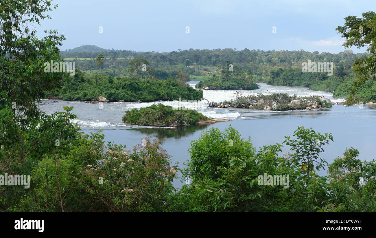 Waterside scenario che mostra il fiume Nilo vicino a Jinja in Uganda (Africa) Foto Stock