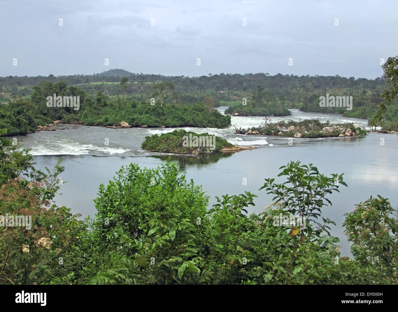 Waterside scenario che mostra il fiume Nilo vicino a Jinja in Uganda (Africa) in atmosfera nuvoloso Foto Stock