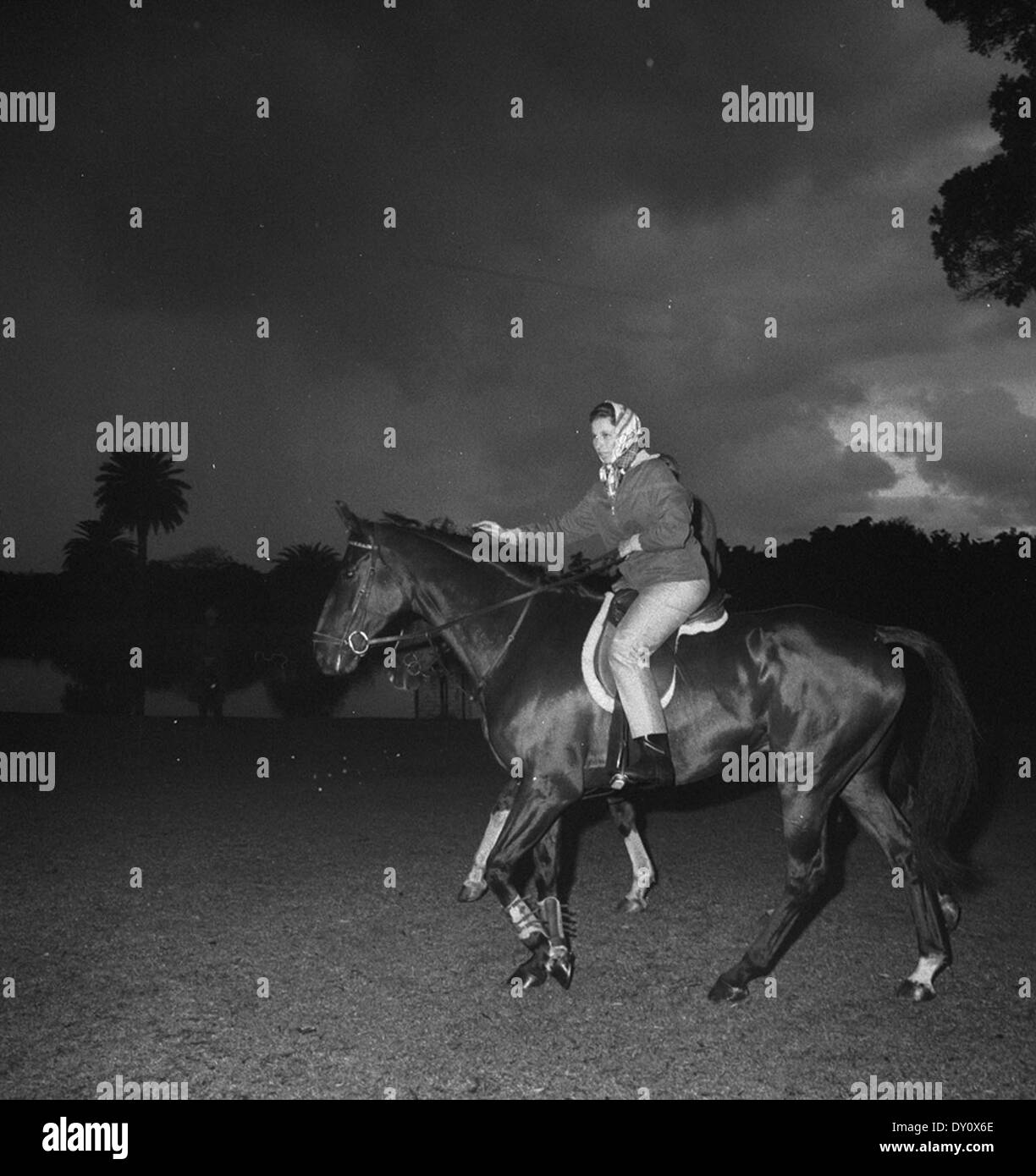 Princess Anne equitazione in Centennial Park durante il royal tour per il capitano Cook bi-le celebrazioni del centenario, Sydney, 30 marzo 1970 / fotografo maurie wilmott Foto Stock