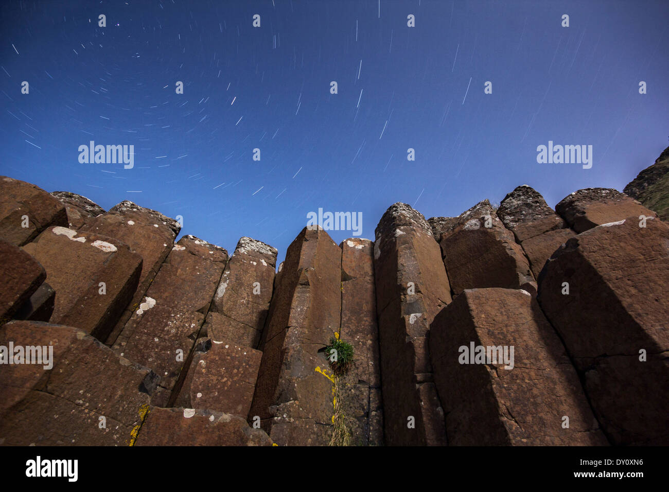 Notte stellata al di sopra delle colonne di basalto al Giant's Causeway UNESCO - Sito Patrimonio dell'umanità. Foto Stock