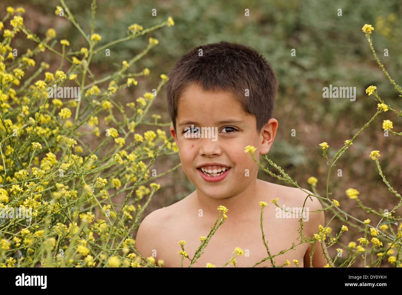 Il mio figlio più giovane la riproduzione in un affascinante campo di fiori selvatici giallo nel sud del Texas. Foto Stock