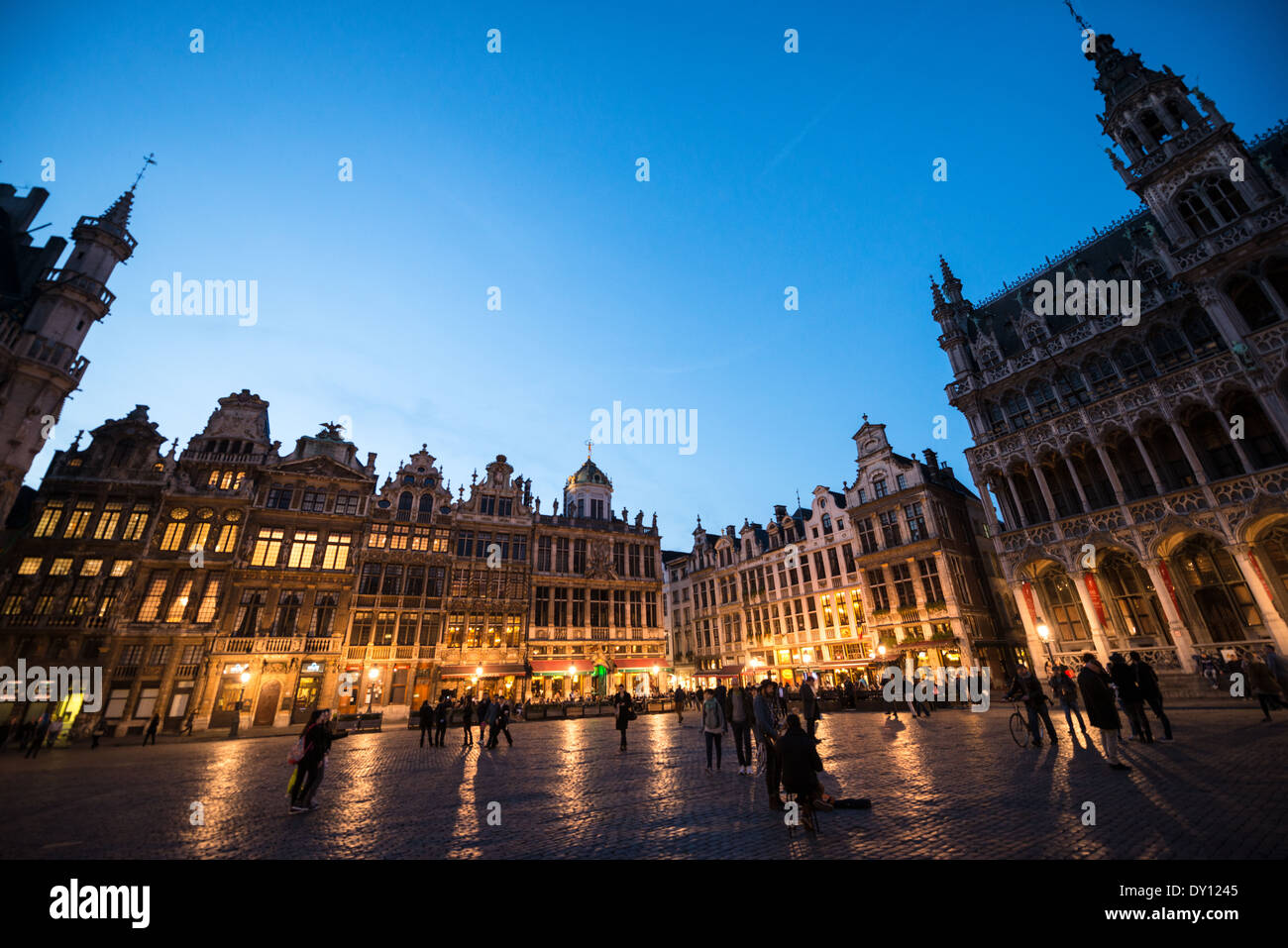 BRUXELLES, Belgio — la Grand Place si illumina di sera, mettendo in risalto le facciate ornate dei suoi edifici storici. I dettagli architettonici del sito patrimonio dell'umanità dell'UNESCO sono illuminati drammaticamente contro il cielo notturno, mostrando le caratteristiche gotiche e barocche della piazza. La piazza medievale illuminata è la principale attrazione turistica di Bruxelles, attirando i visitatori per la sua incantevole esposizione notturna. Foto Stock