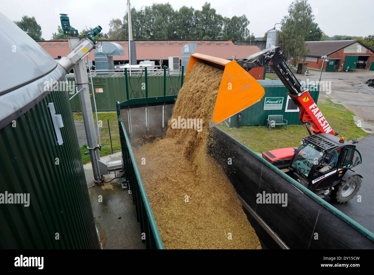 Germania Schleswig-Holstein, impianto di produzione di biogas in latte di vacca farm, granturco substrato per la fermentazione Foto Stock