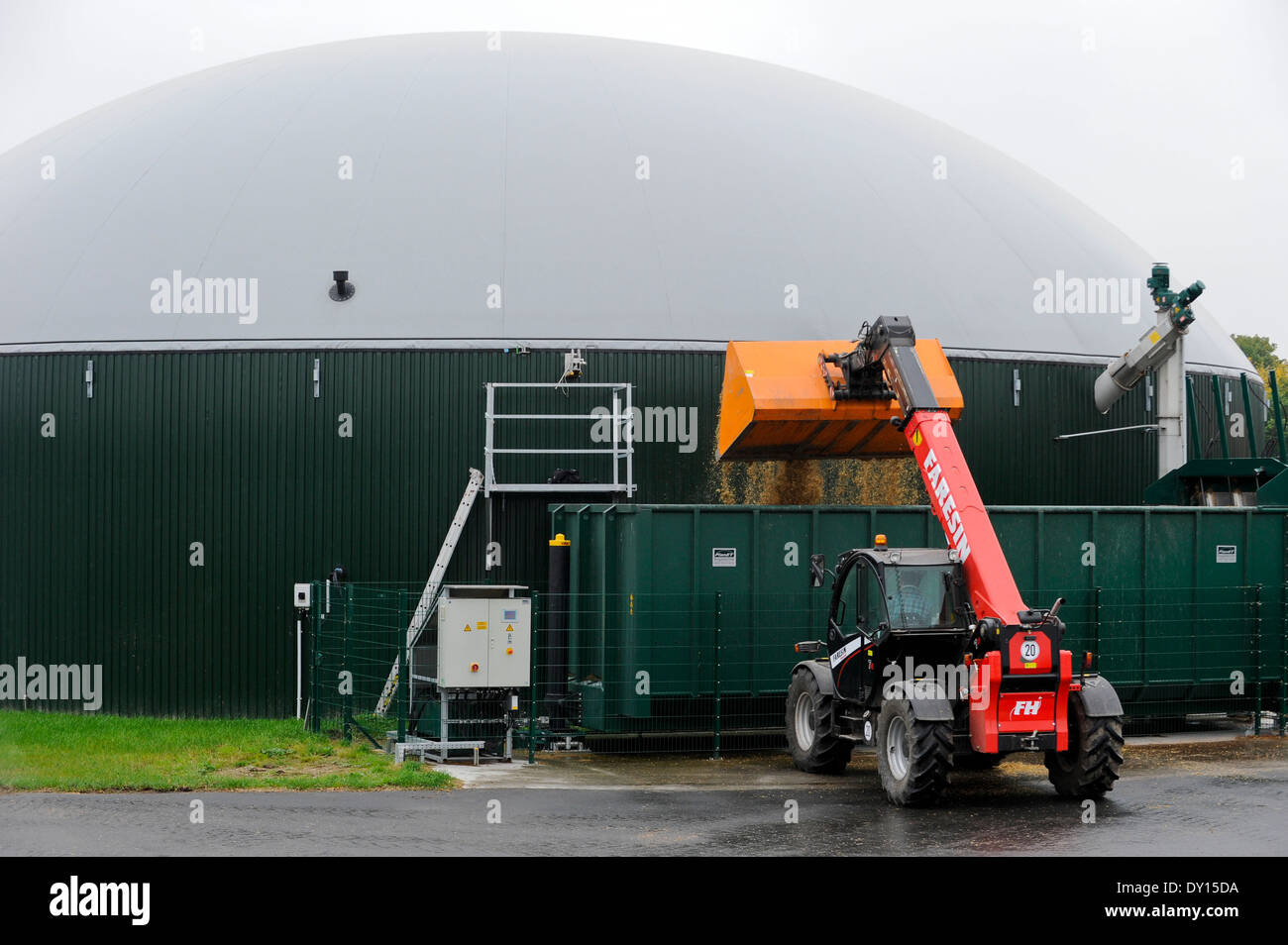 Germania Schleswig-Holstein, impianto di produzione di biogas in latte di vacca farm, granturco substrato per la fermentazione Foto Stock