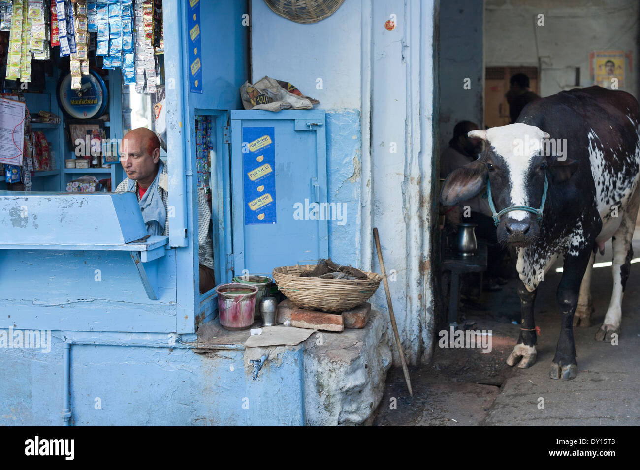Udaipur, Rajasthan, India.. Corner shop e la vacca sacra in strada Foto Stock