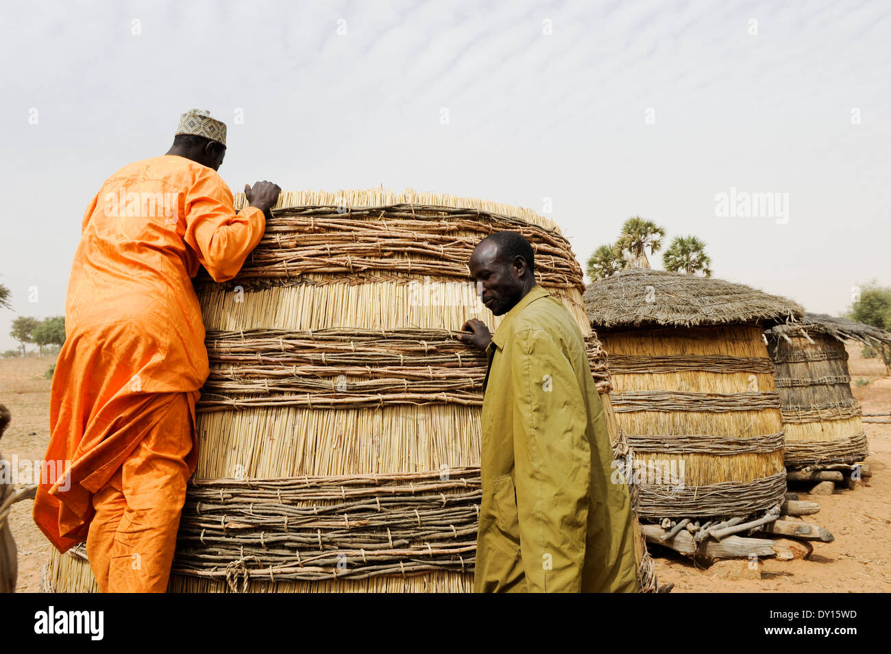 NIGER Zinder, villaggio Zongon Soumaguela, persone store miglio in auto costruito silo di storage per essere preparati per la siccità e carestia Foto Stock