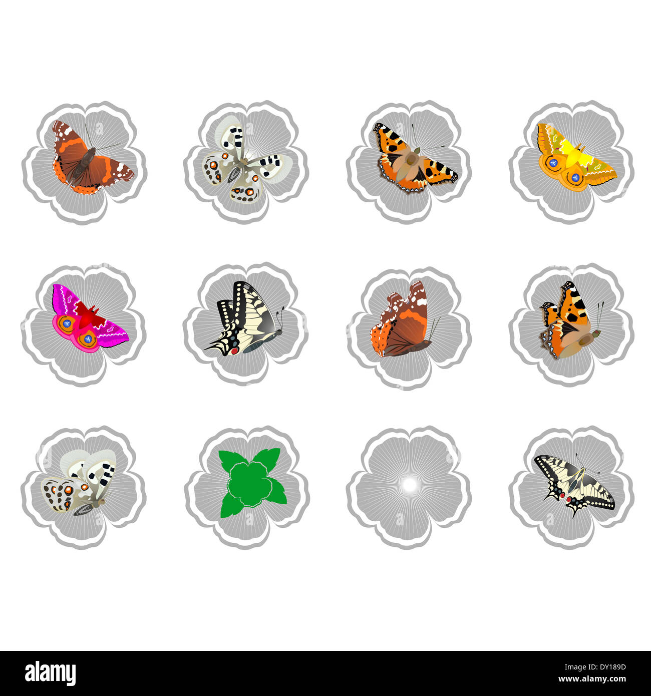 Abstract le icone con farfalle e fiori. Immagine su sfondo bianco. Foto Stock