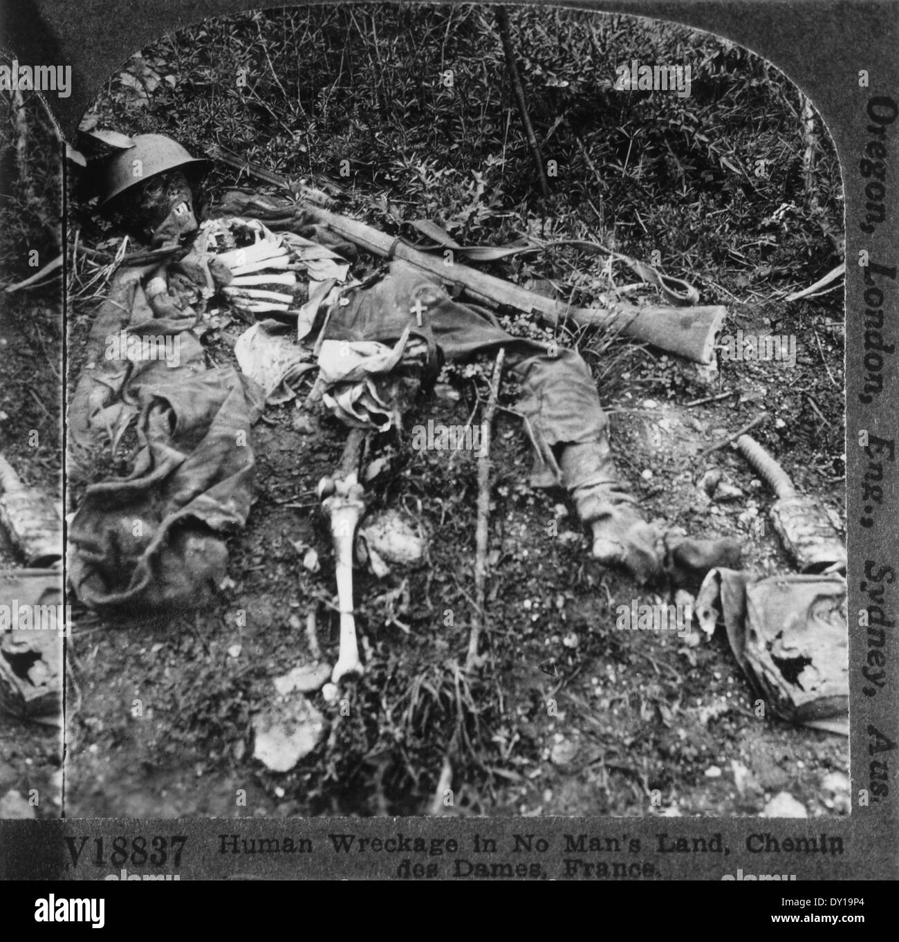 Scheletro umano rimane del soldato, la I Guerra Mondiale, Chenin des Dames, Francia Foto Stock