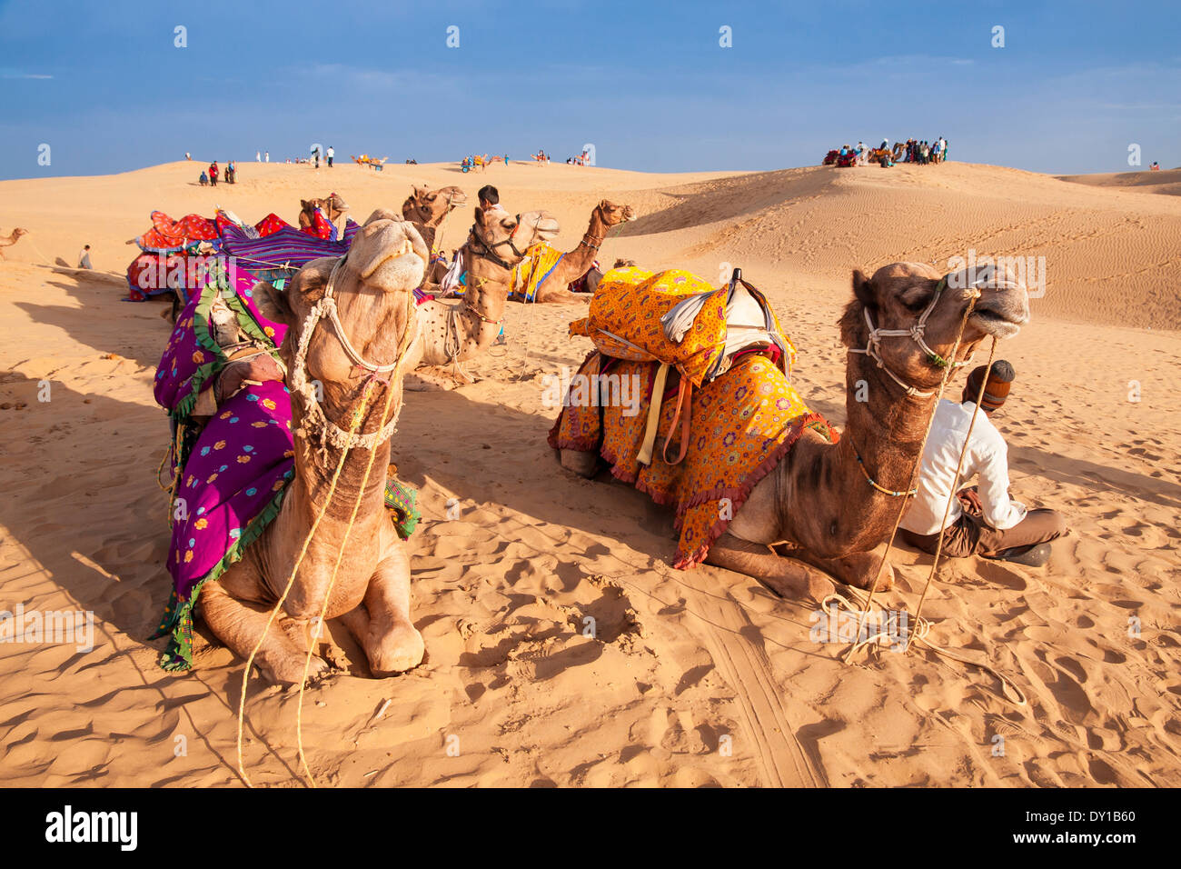 La popolazione locale e i loro cammello resto sul deserto di Thar in serata. Foto Stock