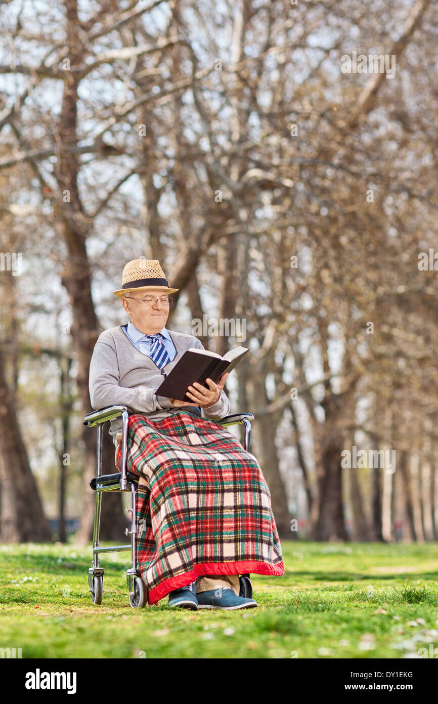 Un vecchio uomo la lettura di un romanzo nel parco Foto Stock
