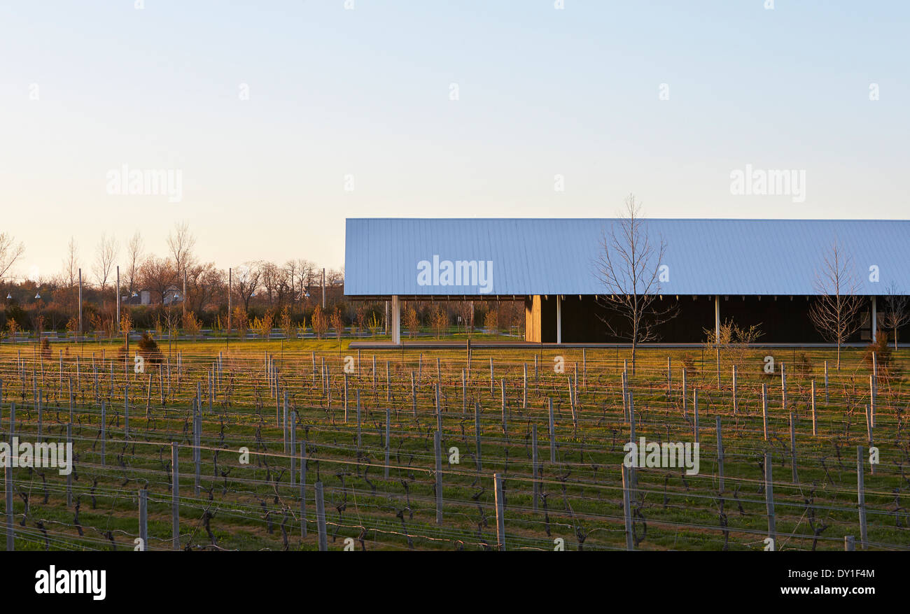 Parrish Art Museum, mulino ad acqua, Stati Uniti. Architetto: Herzog & de Meuron, 2012. Vista su Long Island vigneto al museo un Foto Stock