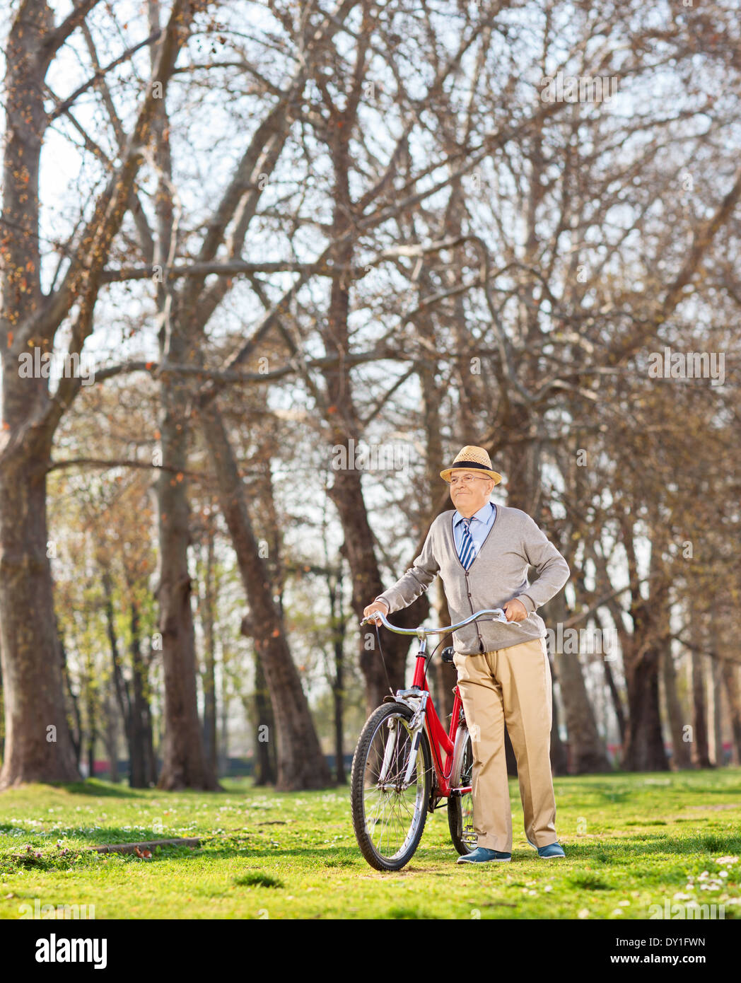 Senior gentleman spingendo la sua bicicletta nel parco Foto Stock