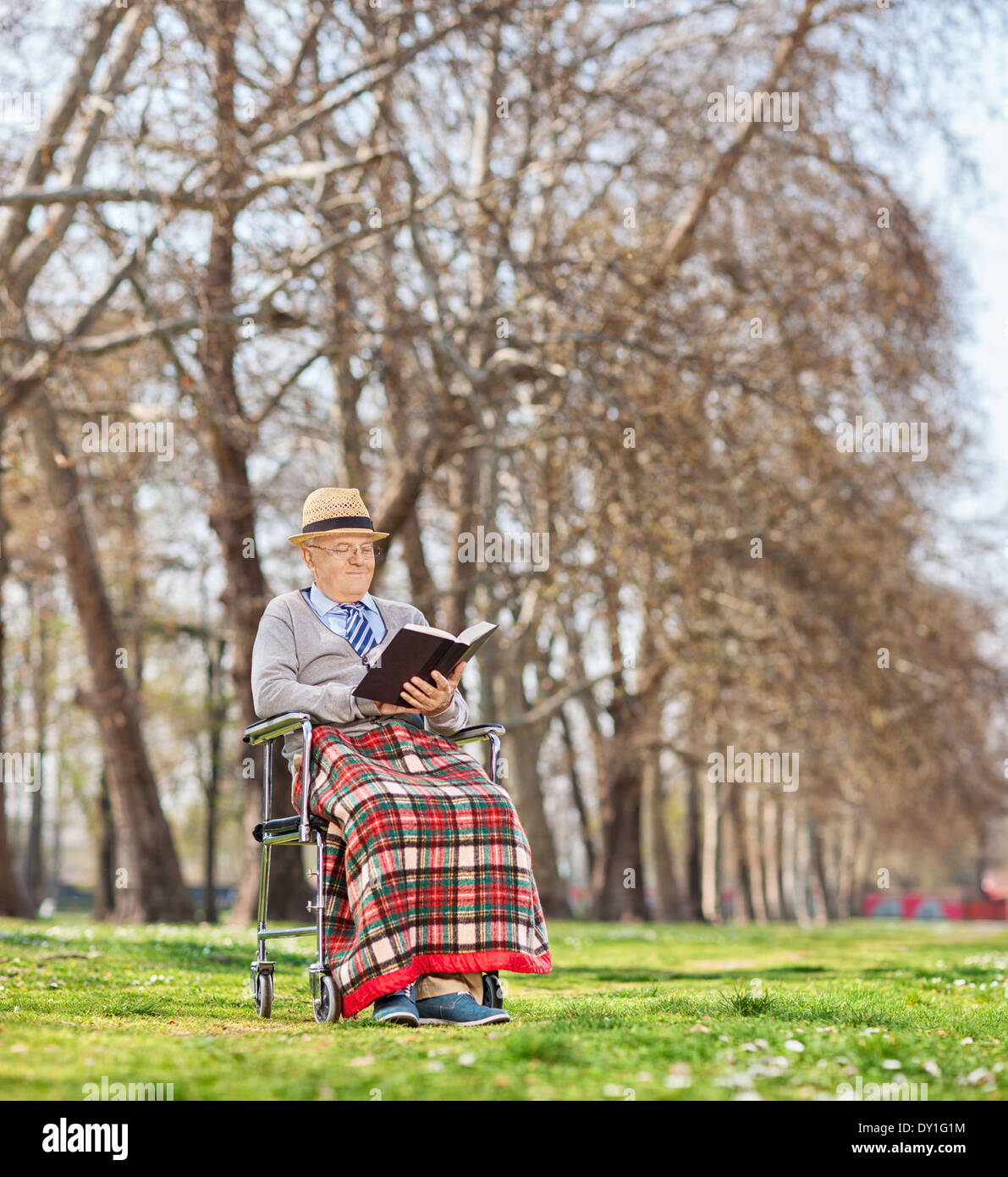 Senior in una sedia a rotelle la lettura di un libro in posizione di parcheggio Foto Stock
